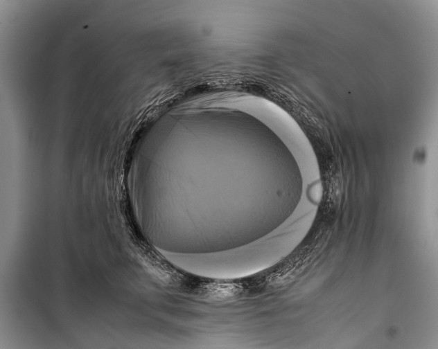 X0000098190711200805151205