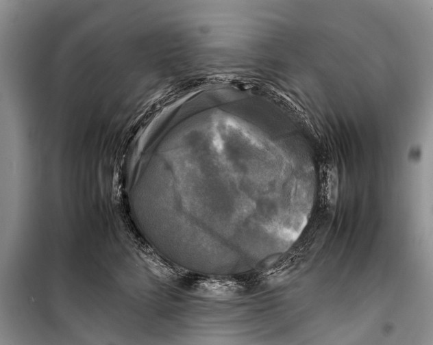 X0000098190712200805151205