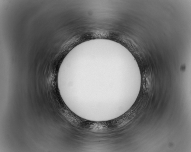X0000098190714200805151205