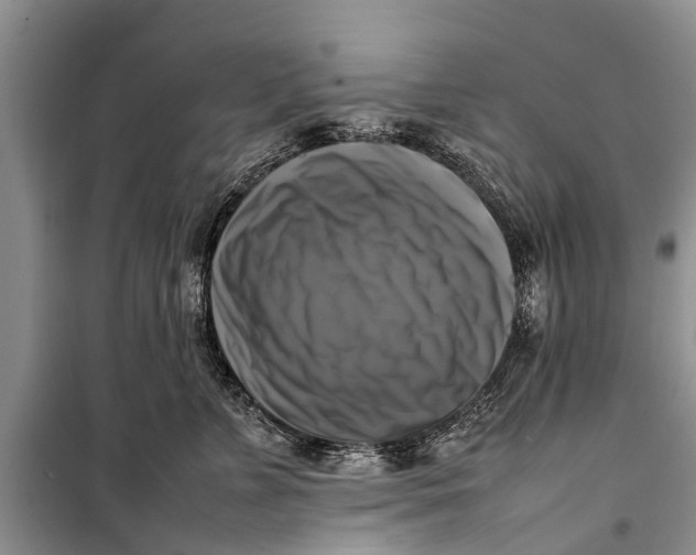 X0000098190715200805151205