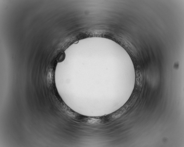 X0000098190718200805151205