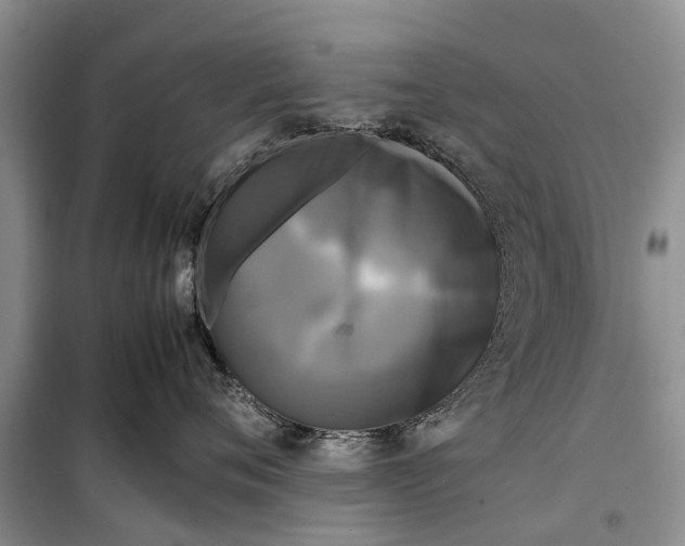 X0000098190720200805151204