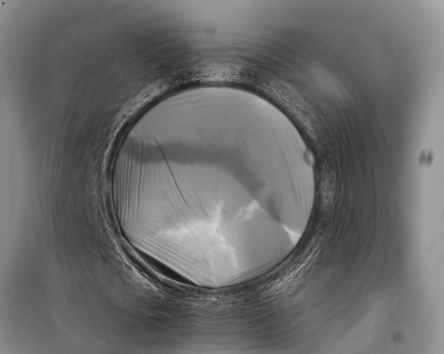 X0000098190721200805151204
