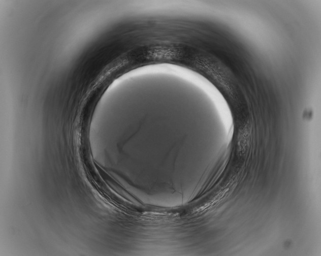 X0000098190722200805151204