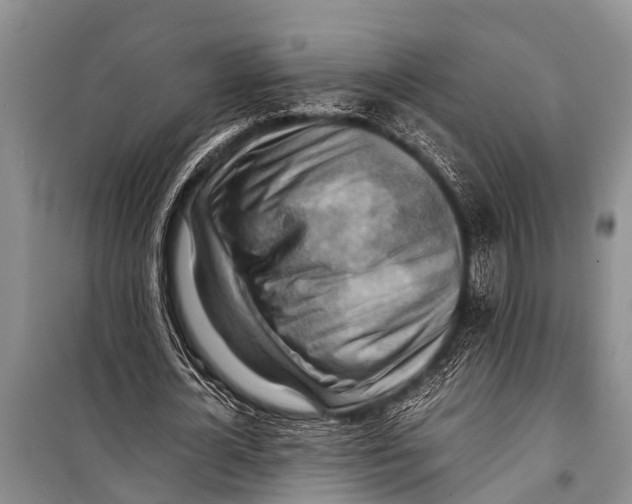 X0000098190724200805151204