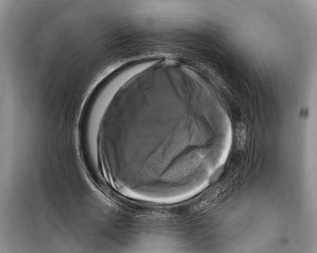 X0000098190726200805151204