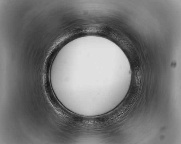 X0000098190728200805151204