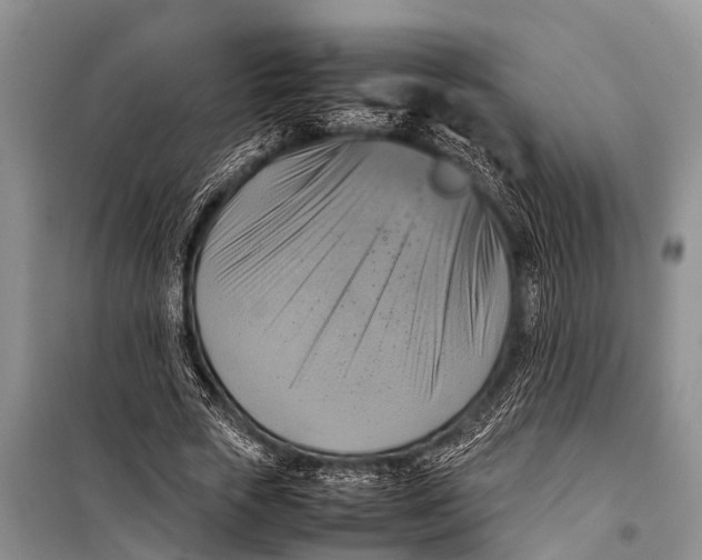 X0000098190729200805151204