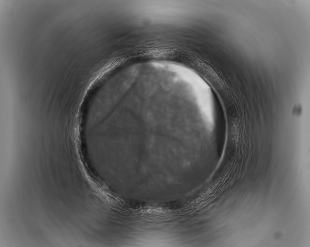X0000098190730200805151204