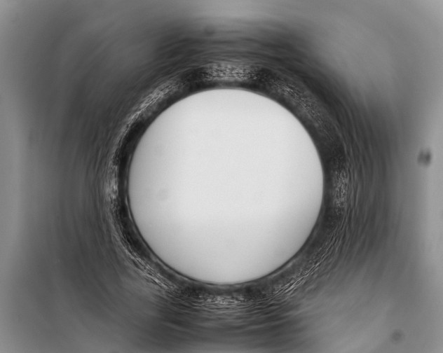 X0000098190731200805151204