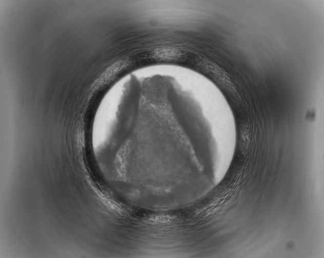 X0000098190734200805151204