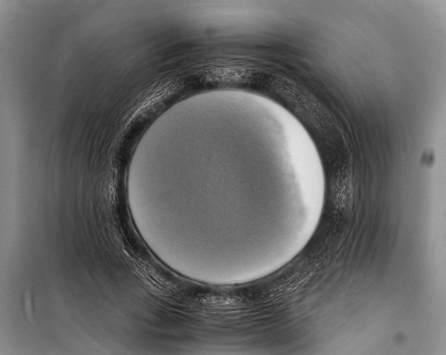 X0000098190735200805151204