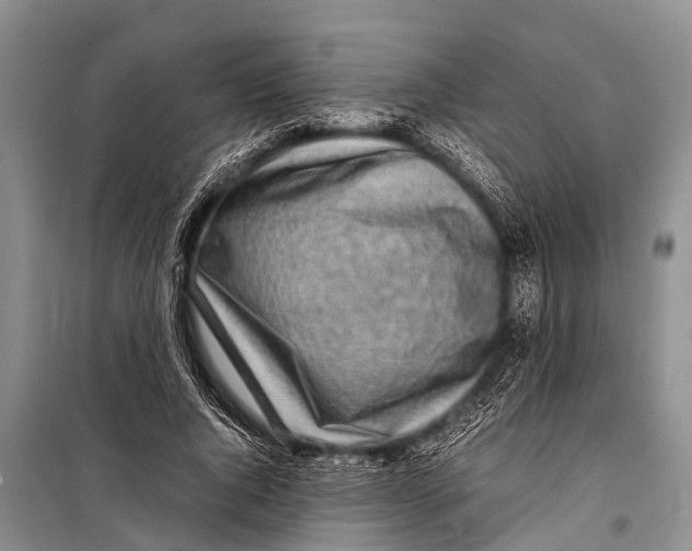 X0000098190736200805151204