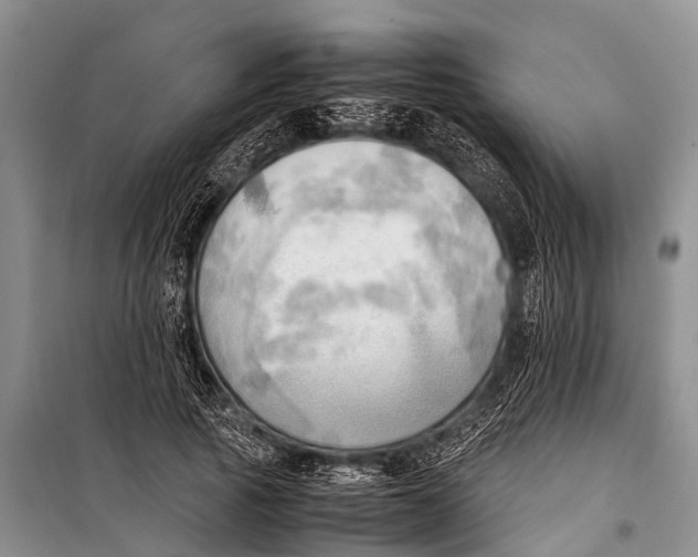 X0000098190737200805151204
