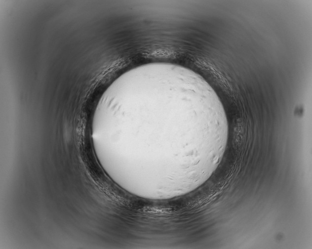 X0000098190739200805151204