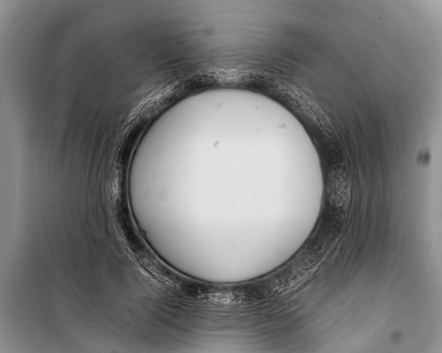 X0000098190740200805151204
