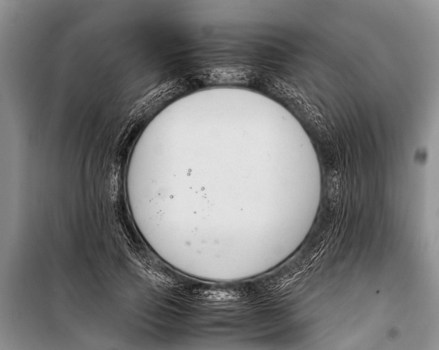 X0000098190741200805151204