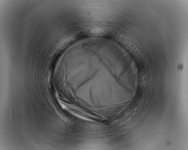 X0000098190742200805151204