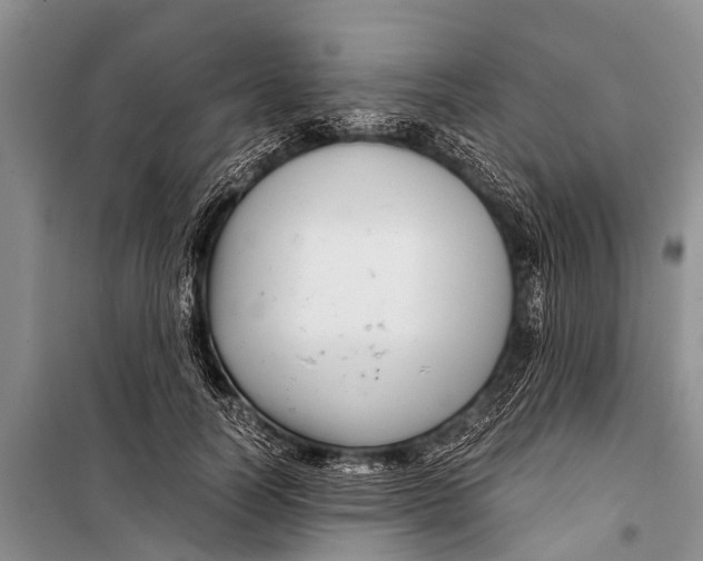 X0000098190746200805151204