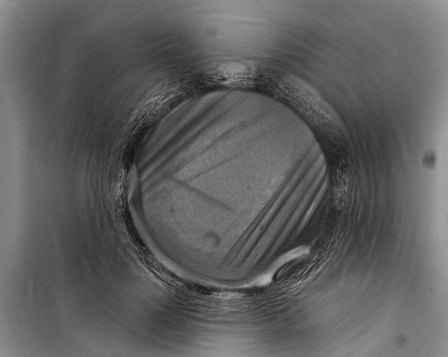 X0000098190748200805151204