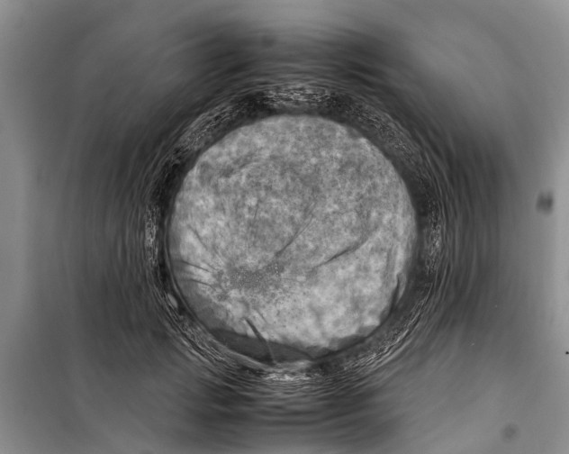X0000098190749200805151204