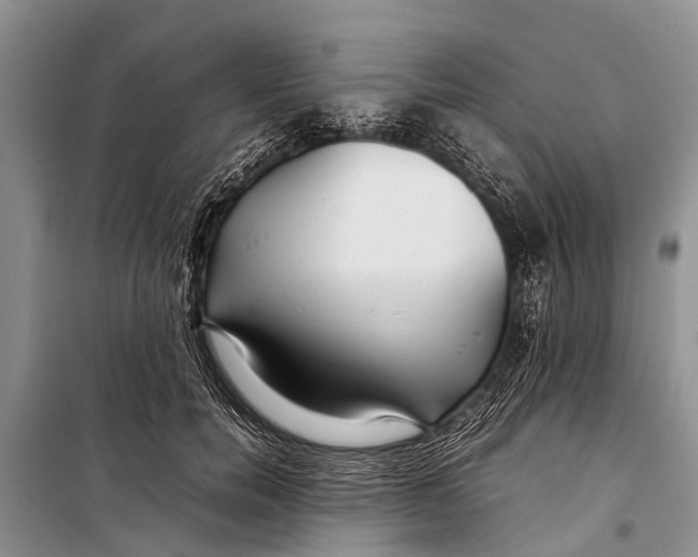 X0000098190750200805151204