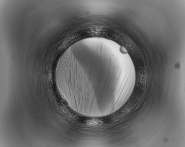X0000098190754200805151204