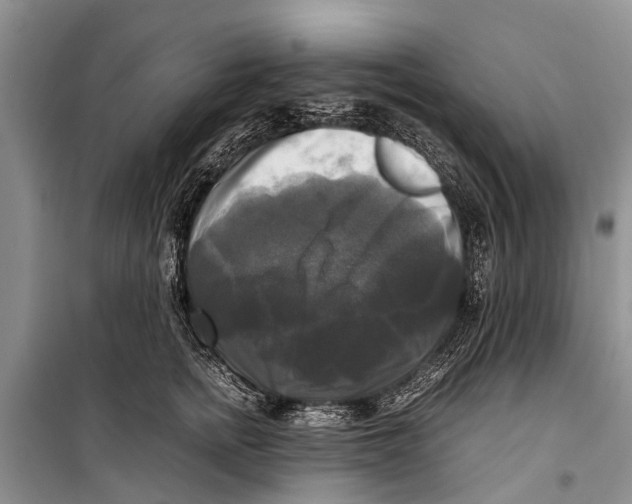 X0000098190758200805151204