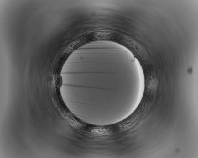 X0000098190759200805151204