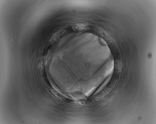 X0000098190760200805151204