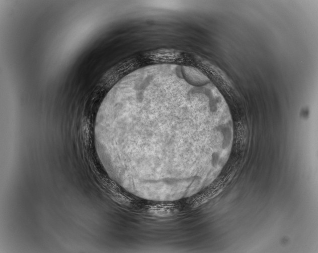 X0000098190761200805151204