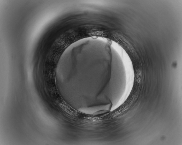 X0000098190763200805151204