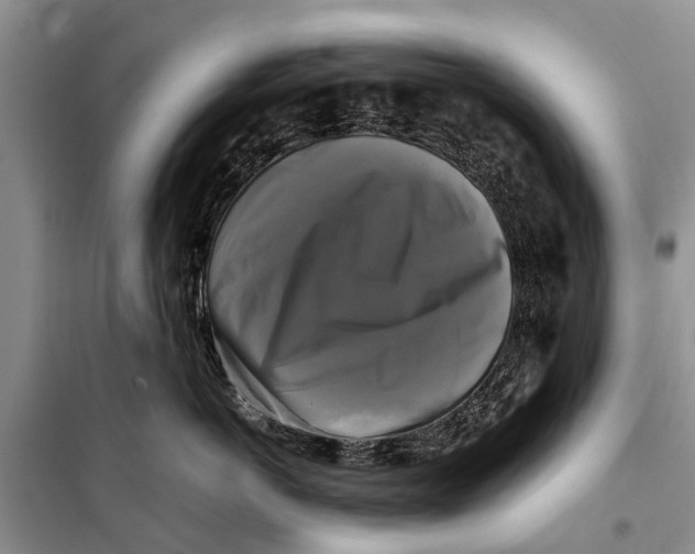 X0000098190766200805151204