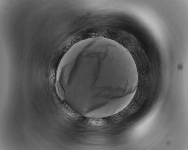 X0000098190767200805151204