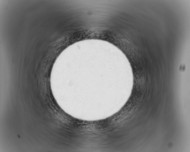 X0000098190769200805151204