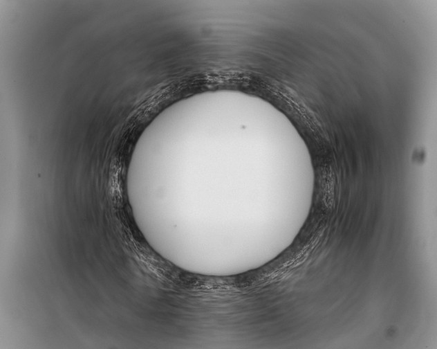 X0000098190770200805151204
