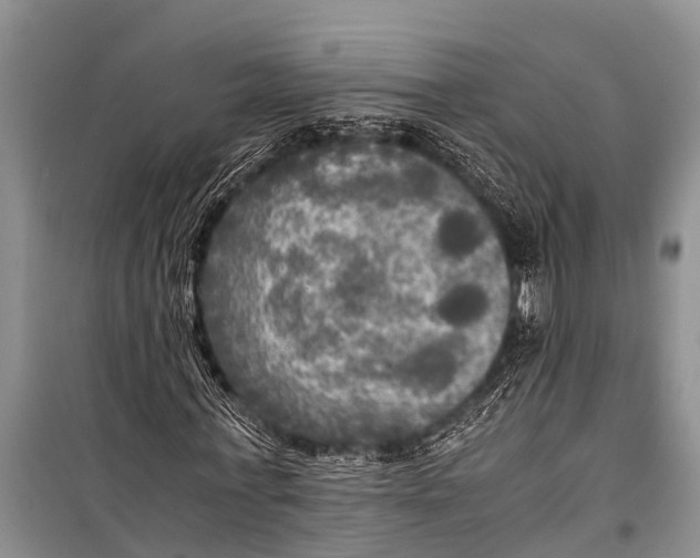 X0000098190771200805151204