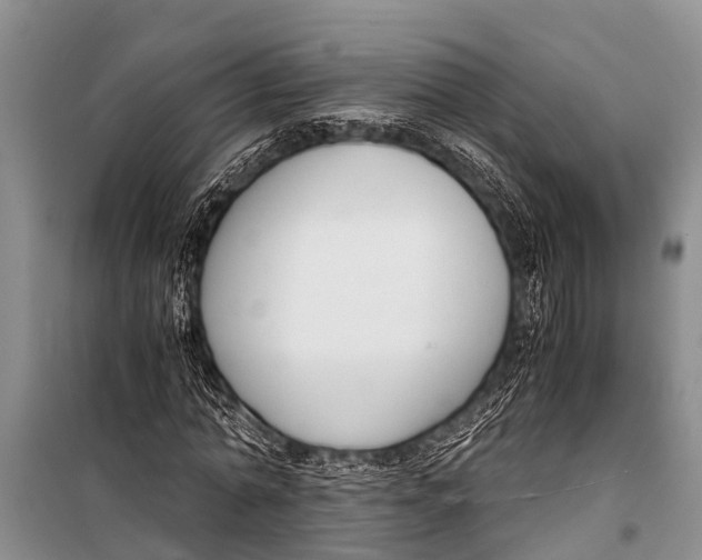 X0000098190774200805151204