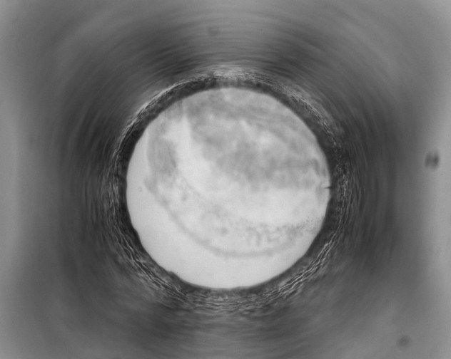 X0000098190776200805151204