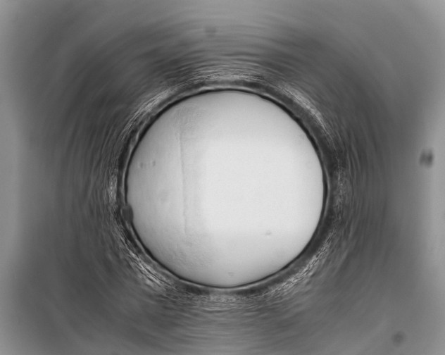 X0000098190777200805151204