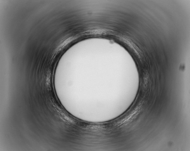 X0000098190778200805151204