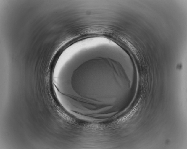 X0000098190779200805151204