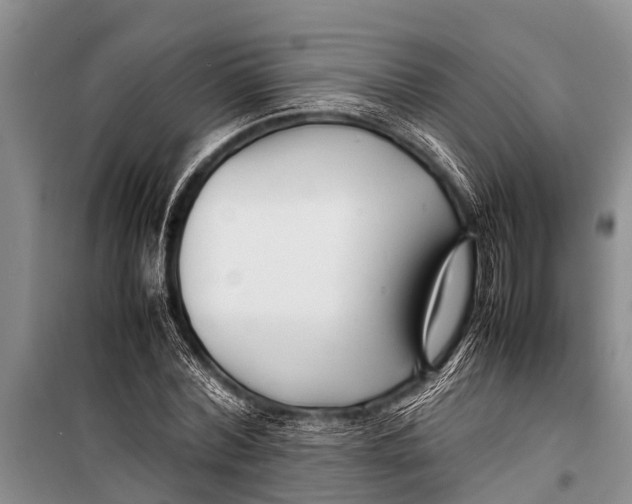 X0000098190780200805151204