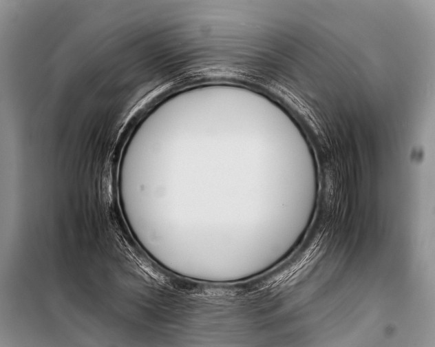 X0000098190782200805151204