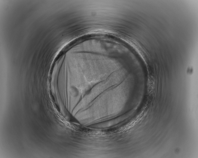 X0000098190783200805151204