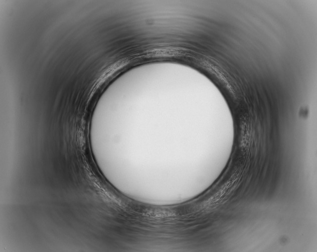 X0000098190786200805151204