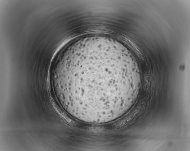 X0000098190788200805151204