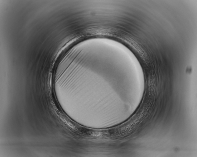 X0000098190790200805151204