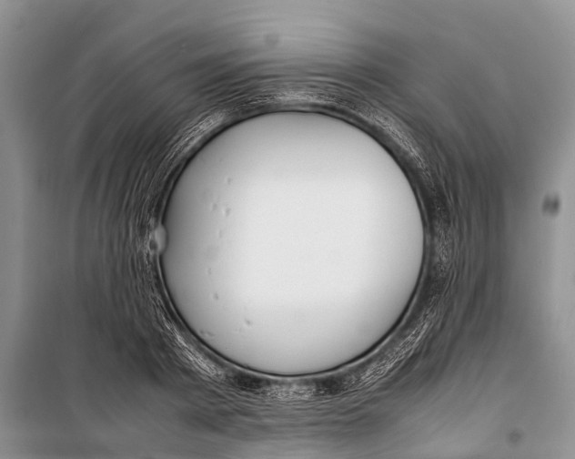 X0000098190793200805151203