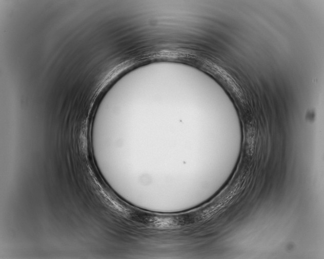 X0000098190794200805151203